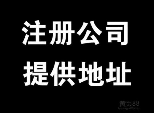 丽水注册公司，法人可以用其他人吗？法人有什么风险！